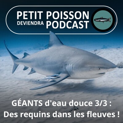 S02E04 GÉANTS d'eau douce 3/3 : Des requins dans les fleuves ! cover