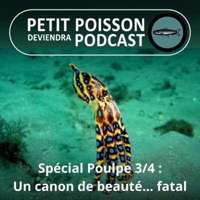 S02E11 Le Poulpe 3/4 : Parmi les stars de la famille, la Pieuvre aux anneaux bleus, un petit canon fatal cover