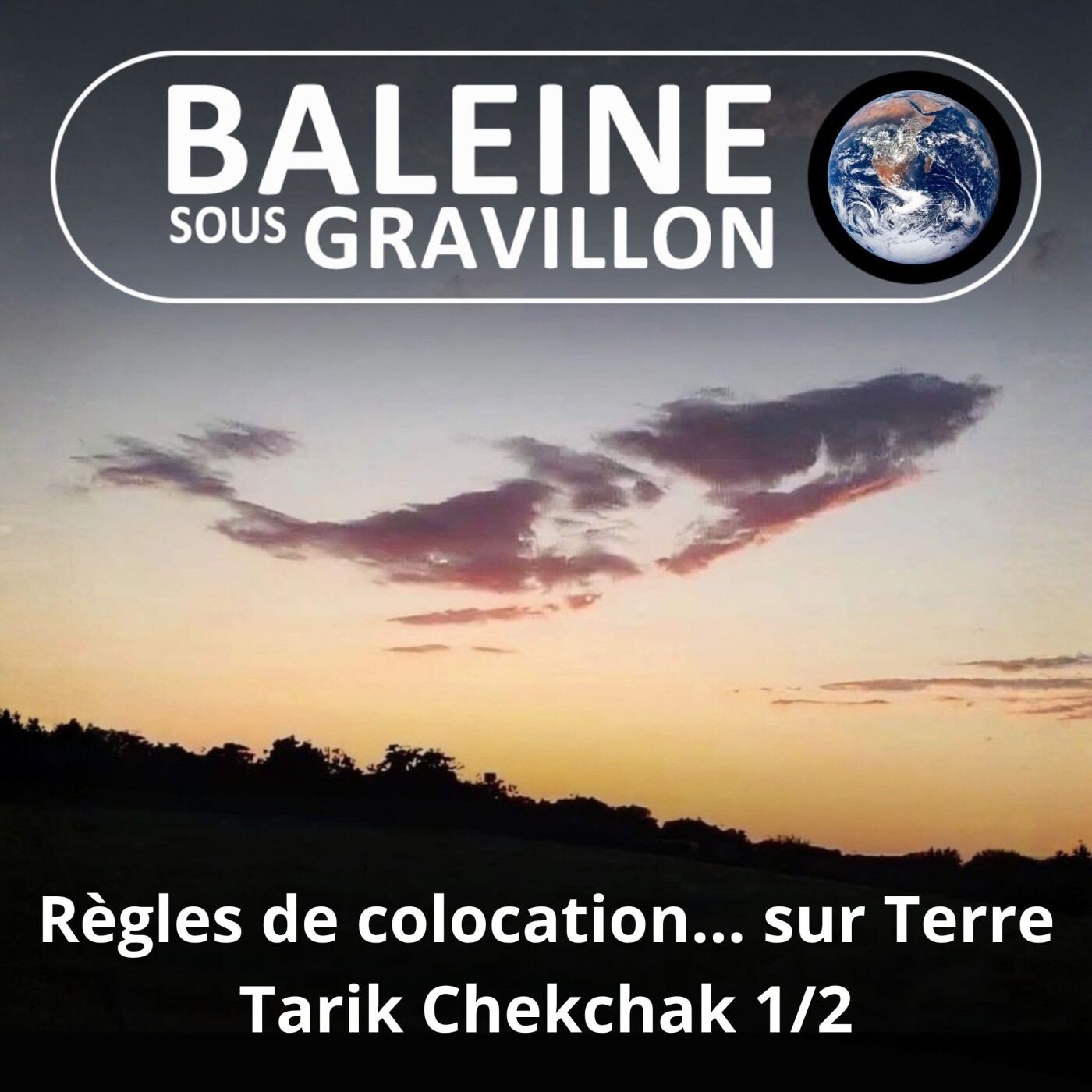 S01E04 Les règles de colocation planétaires 1/2 (Tarik Chekchak) episode artwork