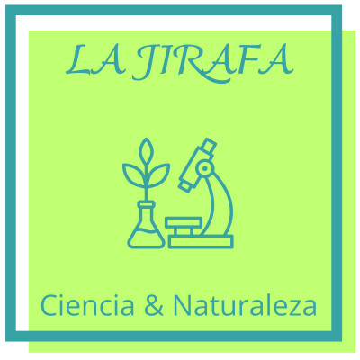 La Jirafa: El animal más alto del mundo cover