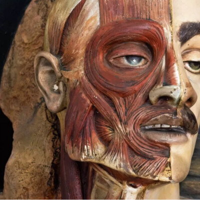 Brève : Un musée interdit aux femmes cover