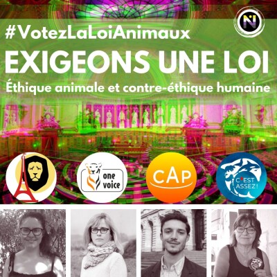 Loi Mlatraitance animale cover