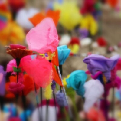 1- Zoute Beach Flower Festival 2023 - Lancement Vins D Alsace cover