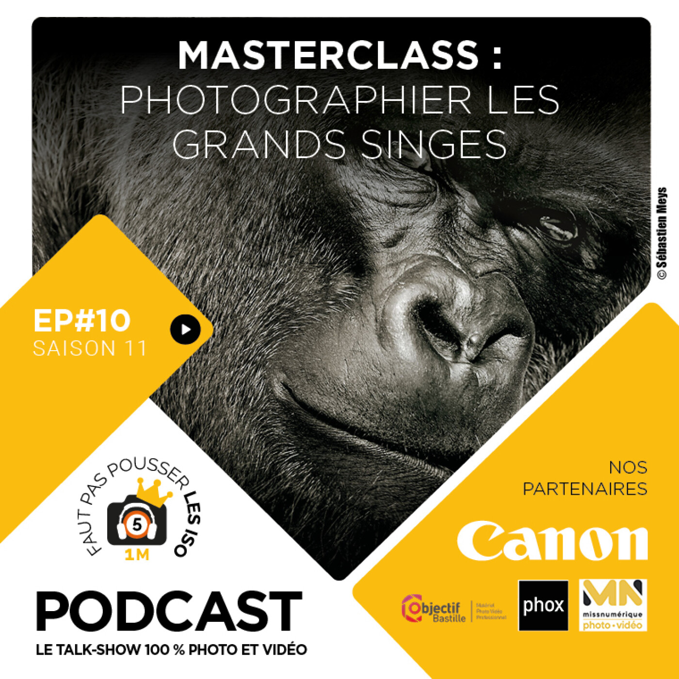 S1110 - MASTERCLASS : PHOTOGRAPHIER LES GRANDS SINGES