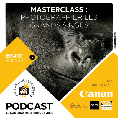 S1110 - MASTERCLASS : PHOTOGRAPHIER LES GRANDS SINGES cover