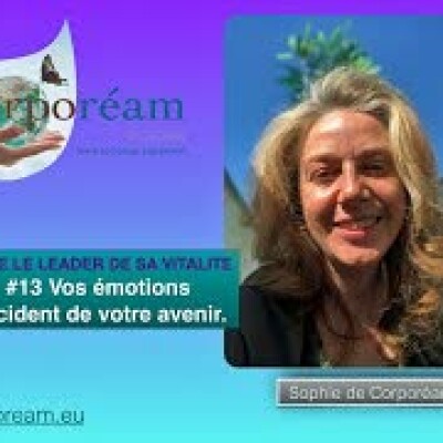 Vos émotions décident de votre avenir. #13 ÊTRE LE LEADER DE SA VITALITE cover