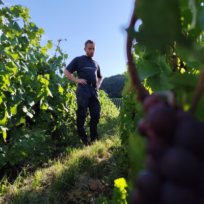 Vous avez dit Champagne de Vignerons ? - Épisode 3 - Perseval-Farge cover