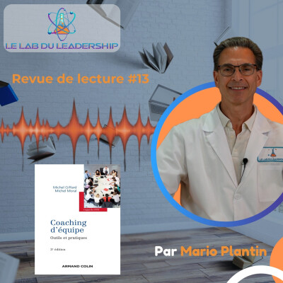 Revue de lecture #13 : Au-delà du team building, les 3 niveaux de votre équipe cover