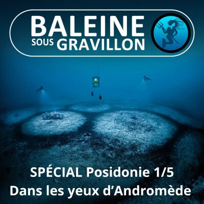 SPÉCIAL Posidonie 1/5 (prologue) : Dans les yeux d'Andromède (Laurent Ballesta, Pierre Descamp) cover