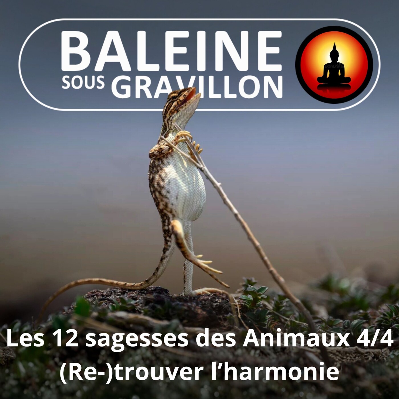 S03E53 Les 12 sagesses des Animaux 4/4 : (Re-)trouver une harmonie avec le monde episode artwork