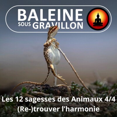 S03E53 Les 12 sagesses des Animaux 4/4 : (Re-)trouver une harmonie avec le monde cover