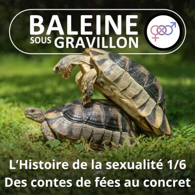 S05E50 Histoire de la sexualité 1/6 : Des contes de fées au concret (Pierre-Henri Gouyon) cover