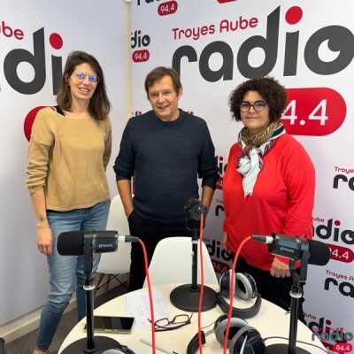 LE VRAI-FAUX DE L’EMPLOI - Le bilan de compétences avec Françoise Bourgouin cover