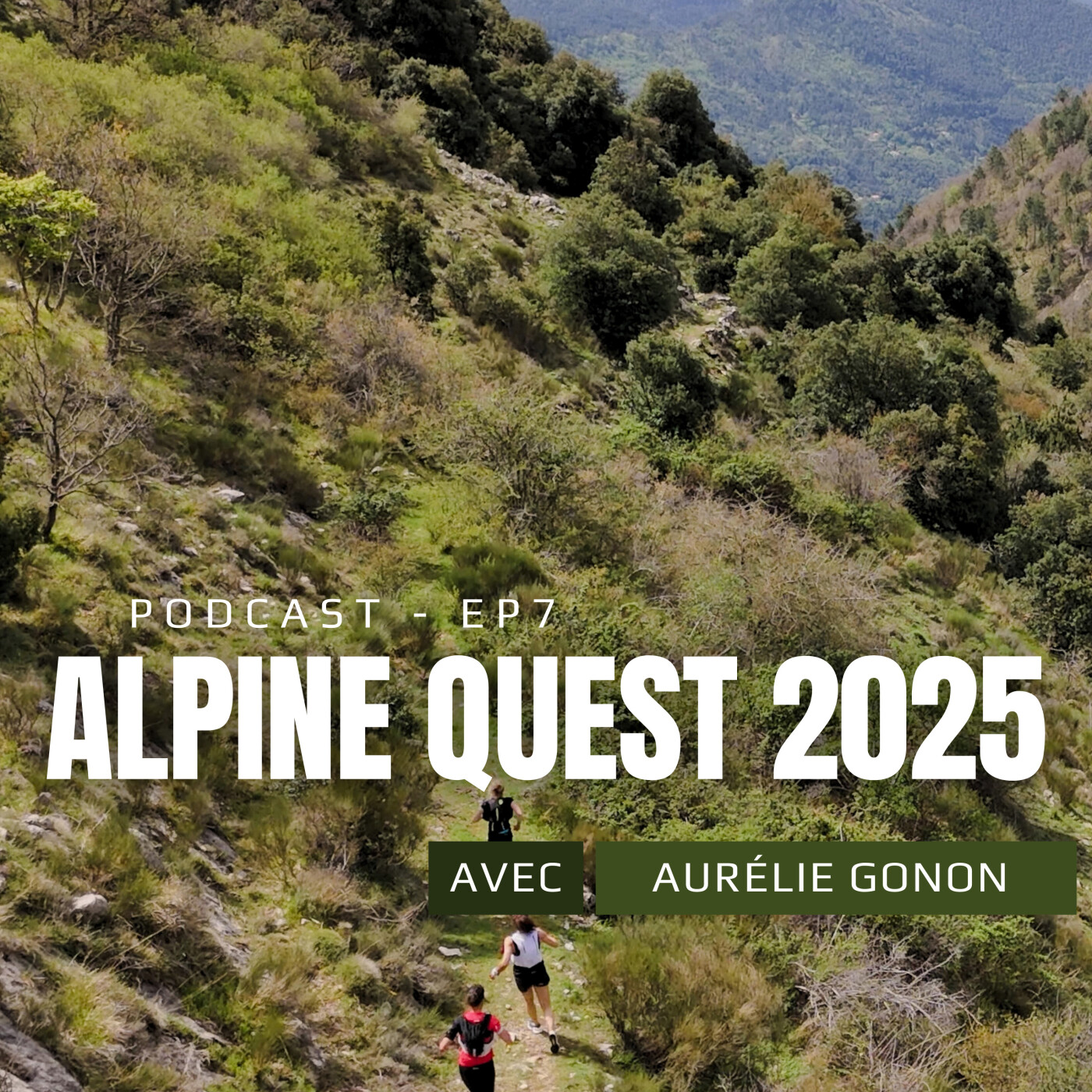 La ligne de crête