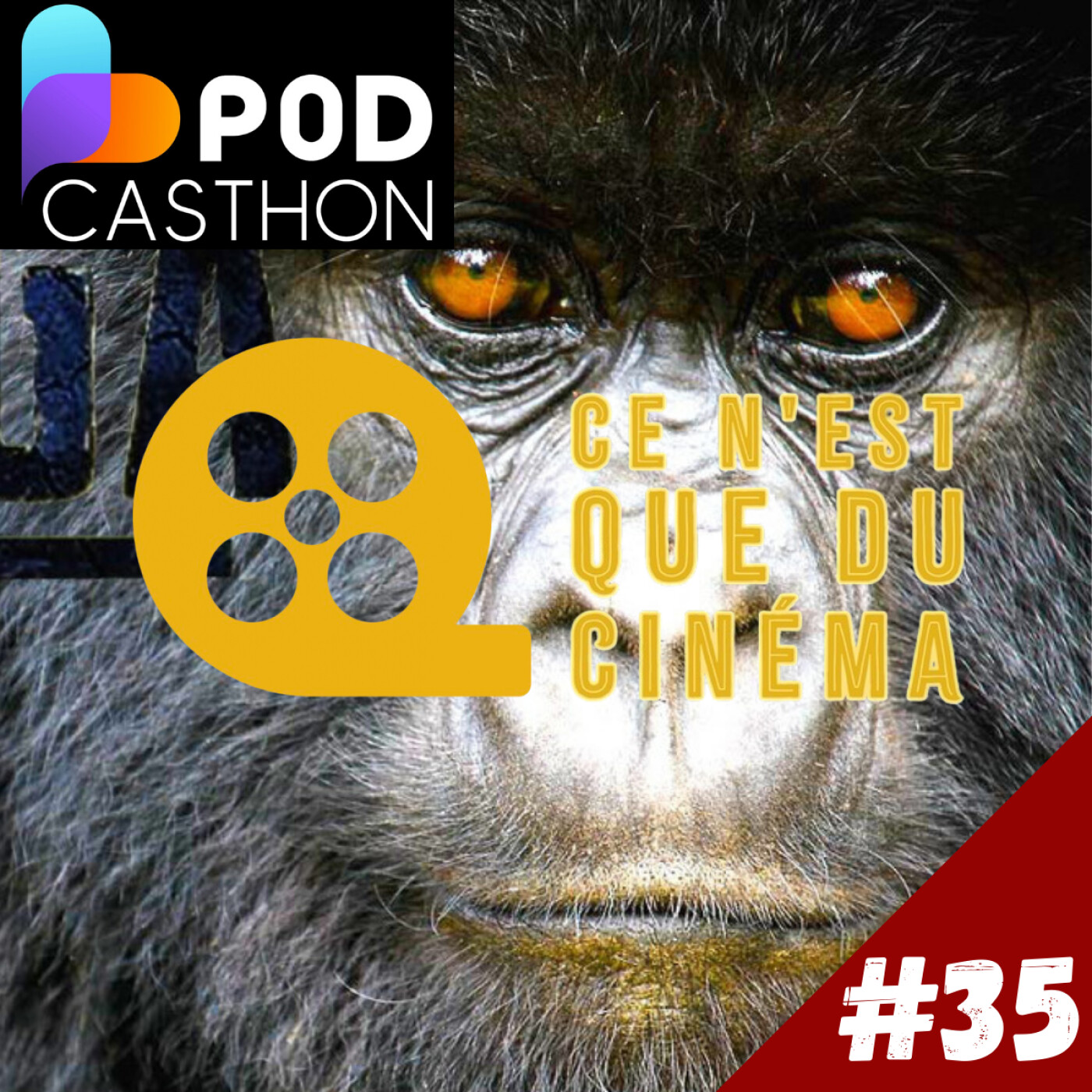 🦍 [PODCASTHON] VIRUNGA (2014)