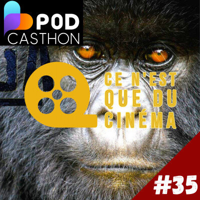 🦍 [PODCASTHON] VIRUNGA (2014) cover