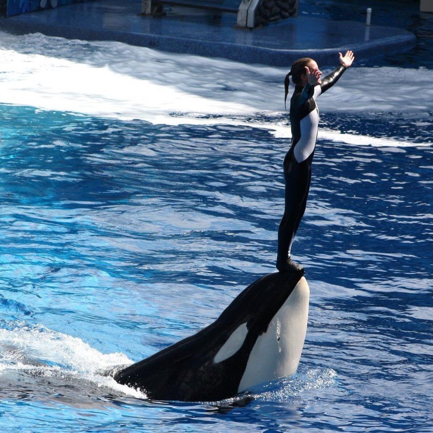 S01E04 Delphinariums 3/4: besoins, soutiens, "grind"... Christine Grandjean (C'est assez!)