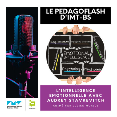 #13 - L'intelligence émotionnelle avec Audrey Stavrevitch cover