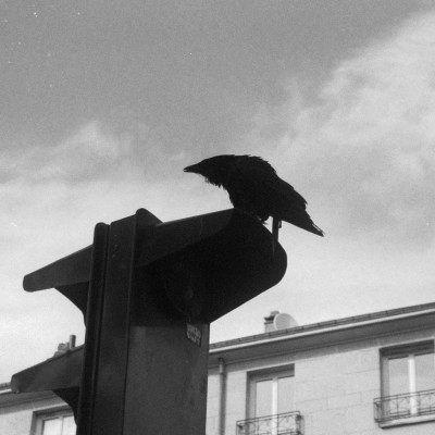 #EP15 - Vous avez 12 nouveaux messages cover