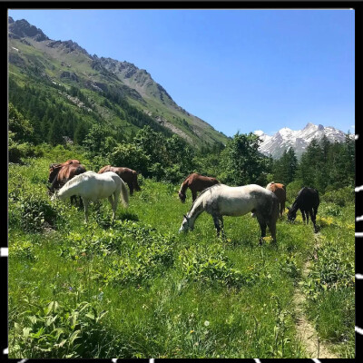 RTVV 105 Le Ranch du Grand Aigle un endroit idéal pour s'évader. cover