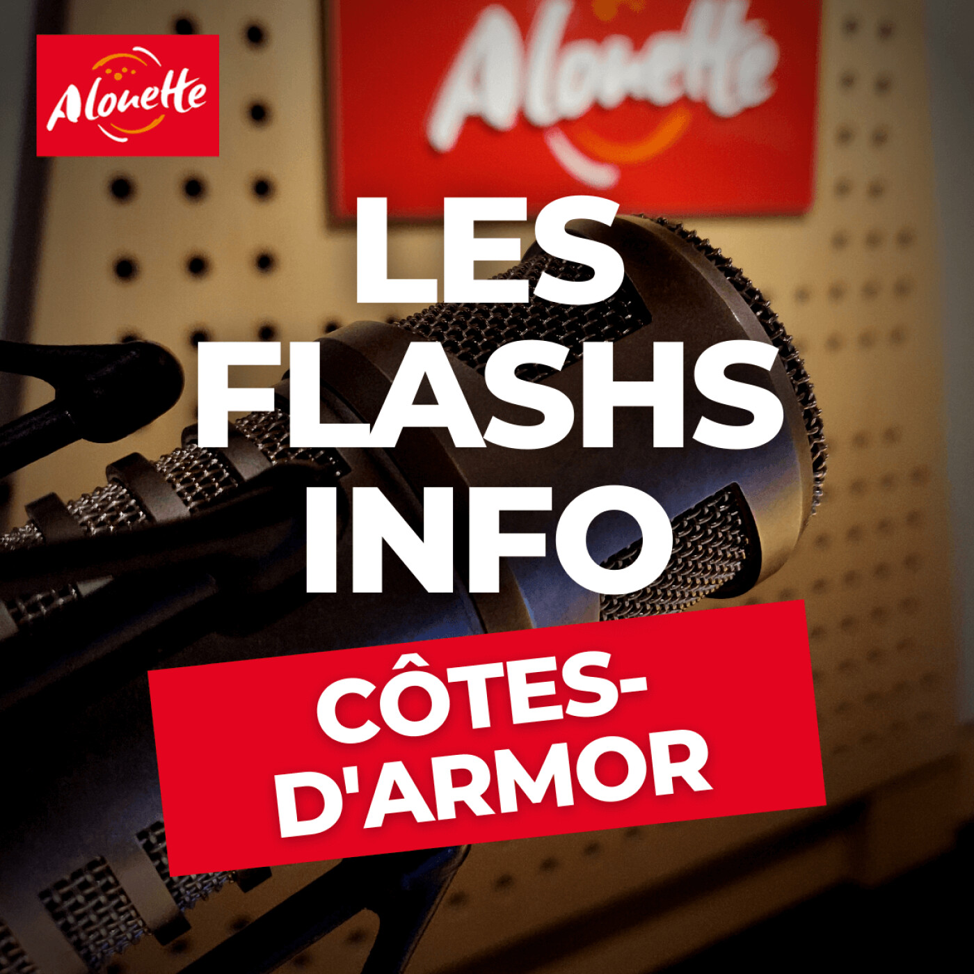 Alouette - Les Infos du 01 Mai 08h00 en Côtes-d'Armor.