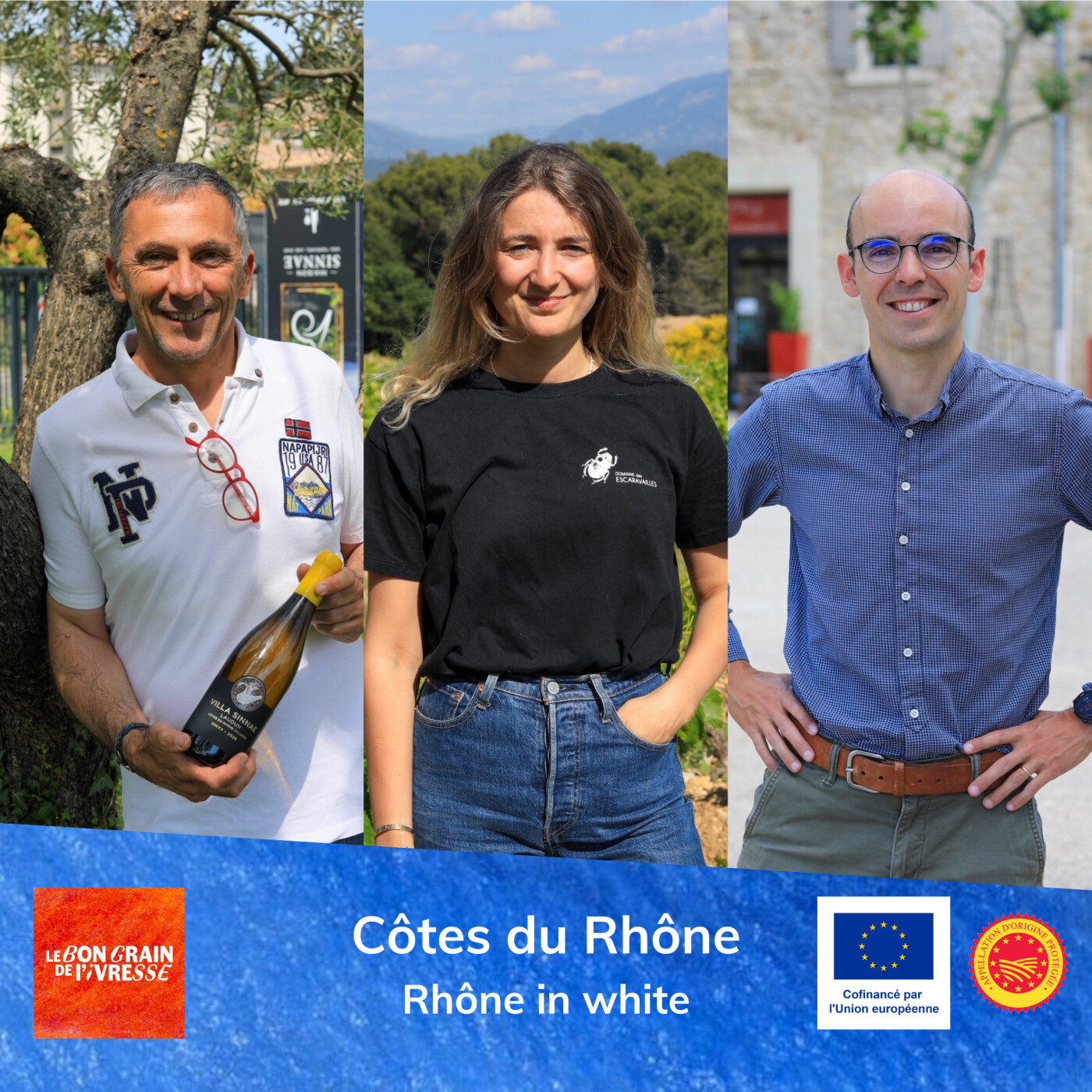 Côtes du Rhône - Rhône in White