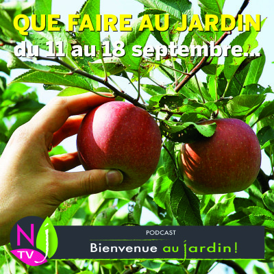 QUE FAIRE AU JARDIN DU 11 AU 18 SEPTEMBRE ? cover