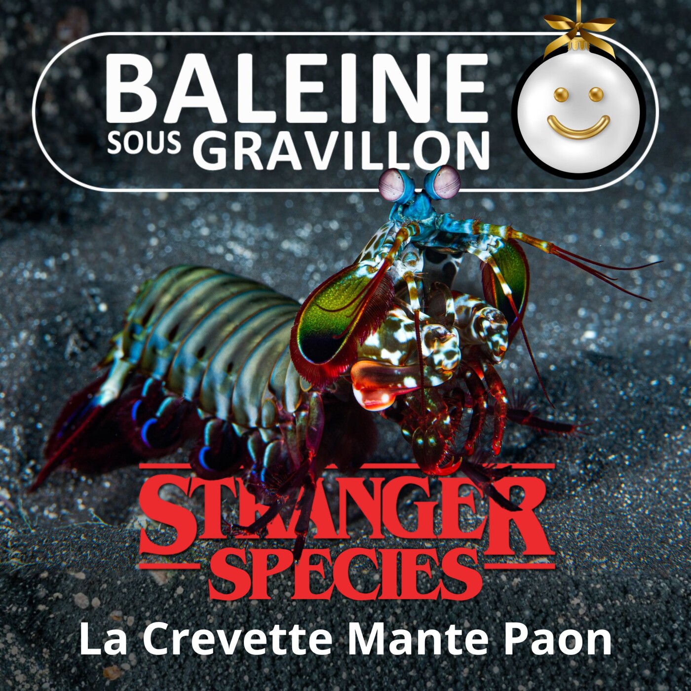 STRANGER SPECIES 6/12 : La Crevette Mante Paon, des baffes comme des balles...