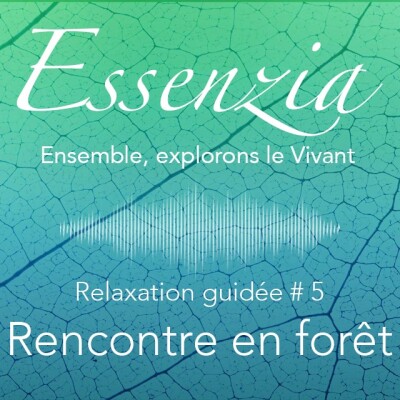 Rencontre en forêt - relaxation guidée #5 cover