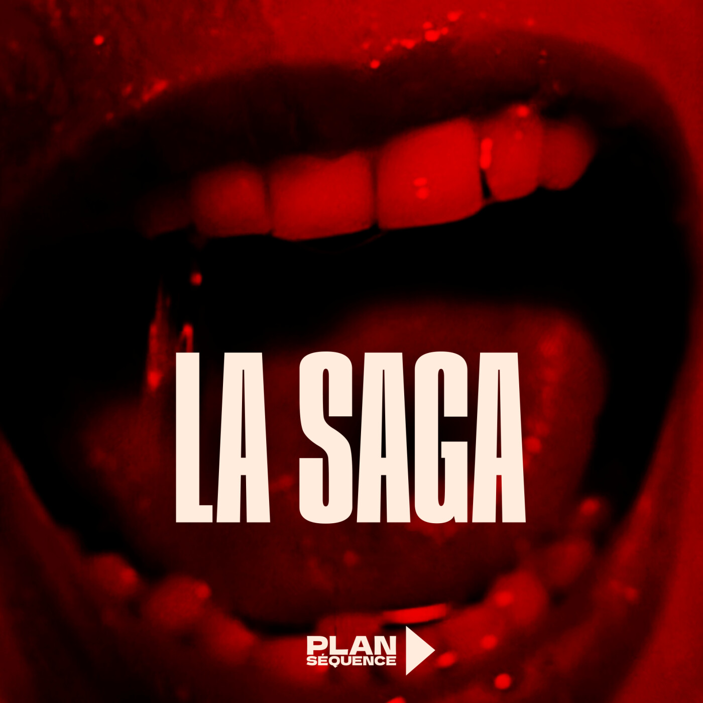 La saga Psychose