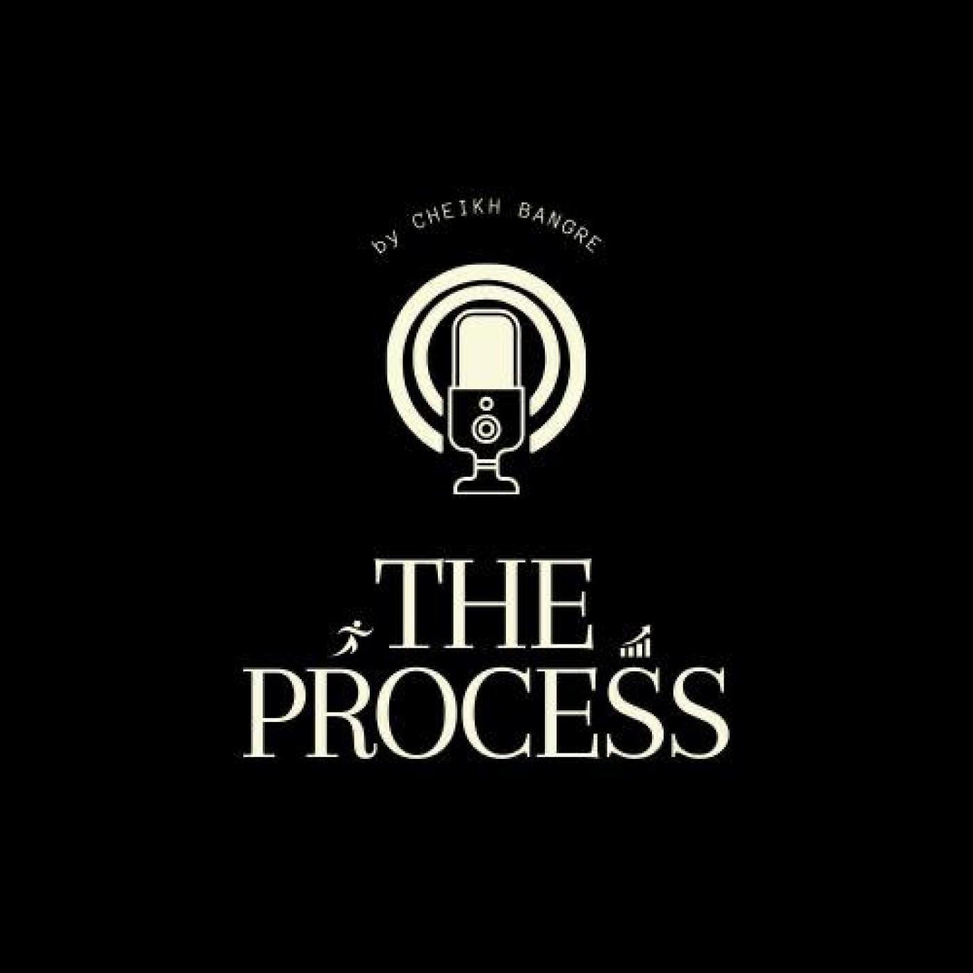 The process cover art