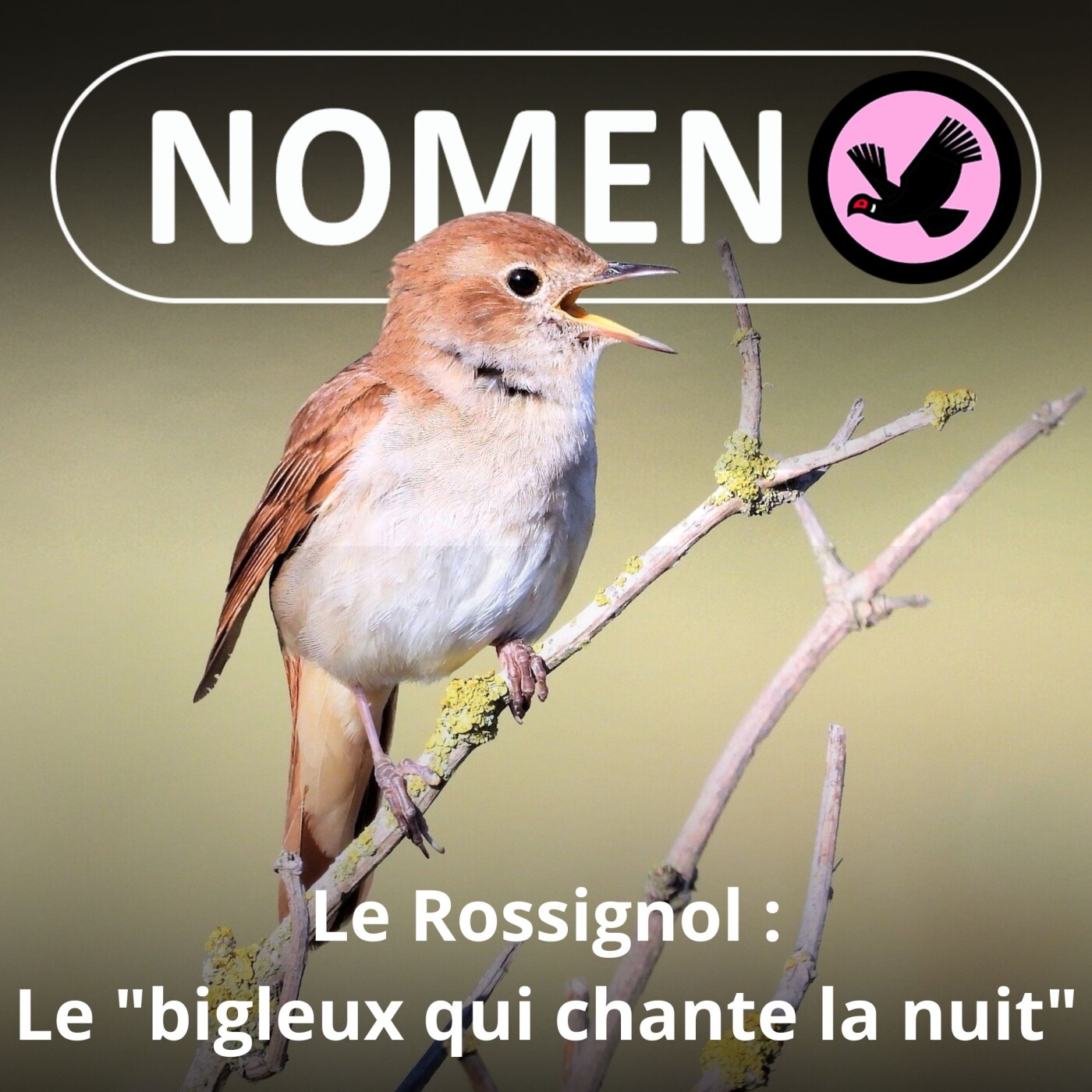 Nomen