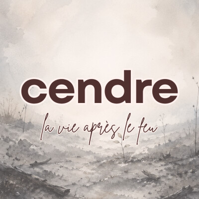 La cendre, la vie après le feu cover