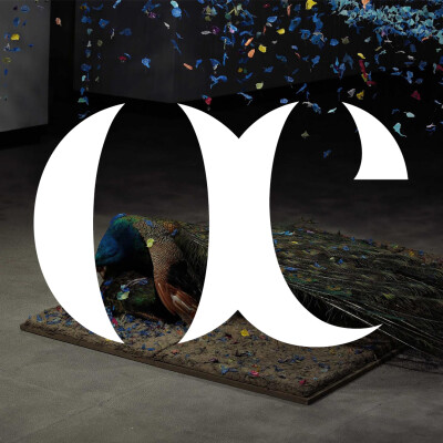 Episode 42 - The vanity of supposing significance – Claire Morgan cover