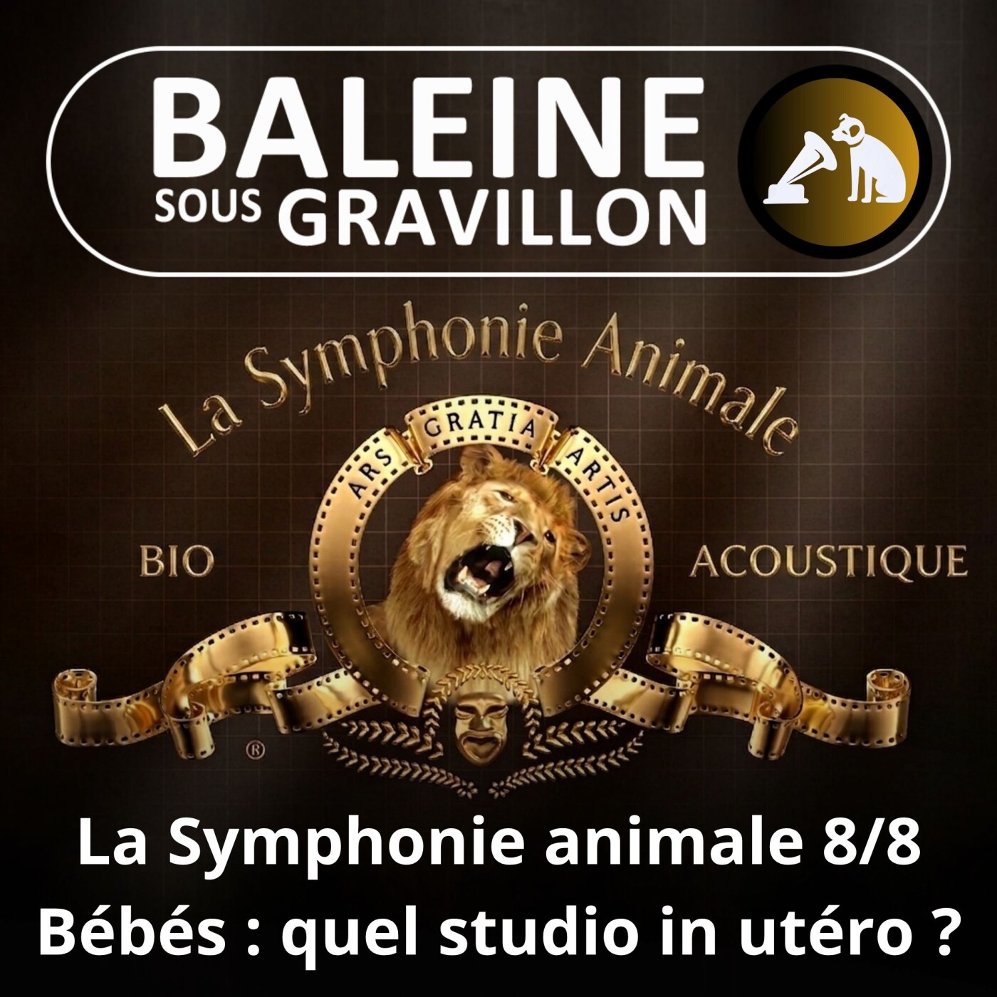 S02E124 La Symphonie animale 8/8 : L'importance des sons pour un bébé humain (Nicolas Mathevon) episode artwork
