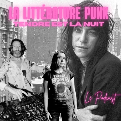 TELN 17 - La littérature Punk cover