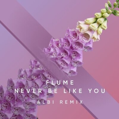 LE TITRE "NEVER BE LIKE YOU" DE FLUME FÊTE SES 10 ANS cover