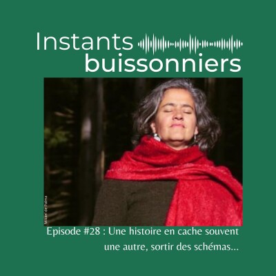 Episode 28 : Une histoire en cache souvent une autre, sortir des schémas cover