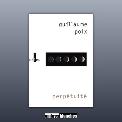 Guillaume Poix → Perpétuité cover