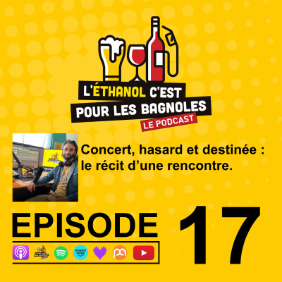 Concert, hasard et destinée : le récit d’une rencontre. cover