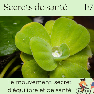 Bouger pour vivre : le mouvement, secret d’équilibre et de vitalité - S7E7 cover