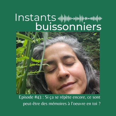 Episode 43 : ça se répète encore, ce sont peut-être des mémoires à l'oeuvre en toi? cover