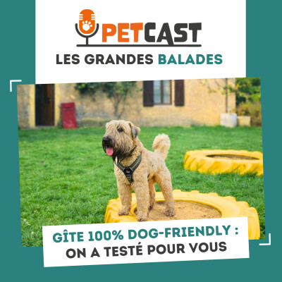 Gîte 100% dog-friendly : On a testé pour vous ! cover