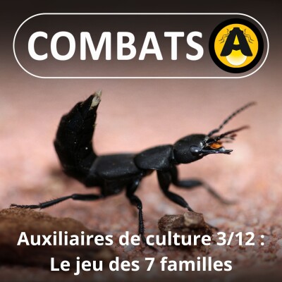 SPÉCIAL Auxiliaires 3/12 : Le jeu des 7 familles cover
