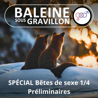 Bêtes de sexe 1/4 : Préliminaires (Matthieu Keller) cover
