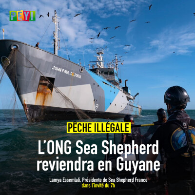 L'invité du 7h | 13 avril 2026 | Lamya Essemlali cover