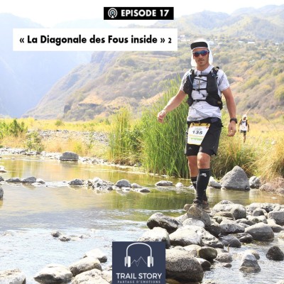 (REDIFF) "La Diagonale des Fous Inside" 2 cover