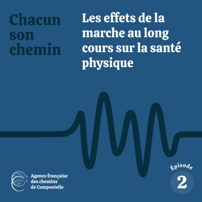 Les effets de la marche au long cours sur la santé physique cover