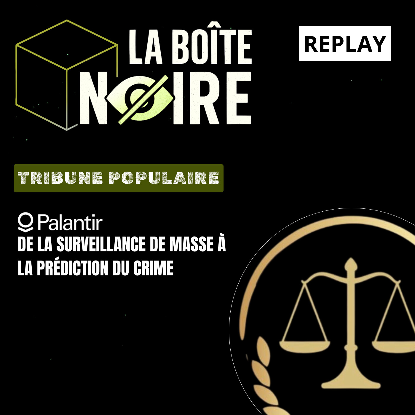 Palantir : De la surveillance de masse à la prédiction du crime - avec Tribune Populaire [LBN EP05]