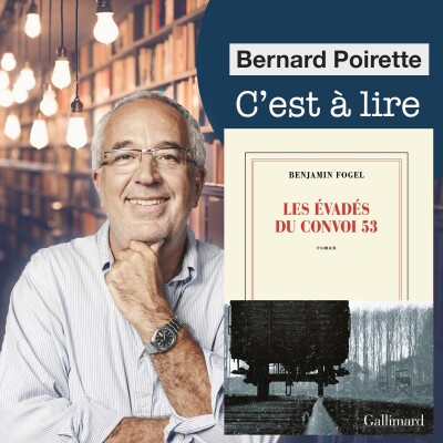 263. "Les évadés du convoi 53" de Benjamin Fogel cover